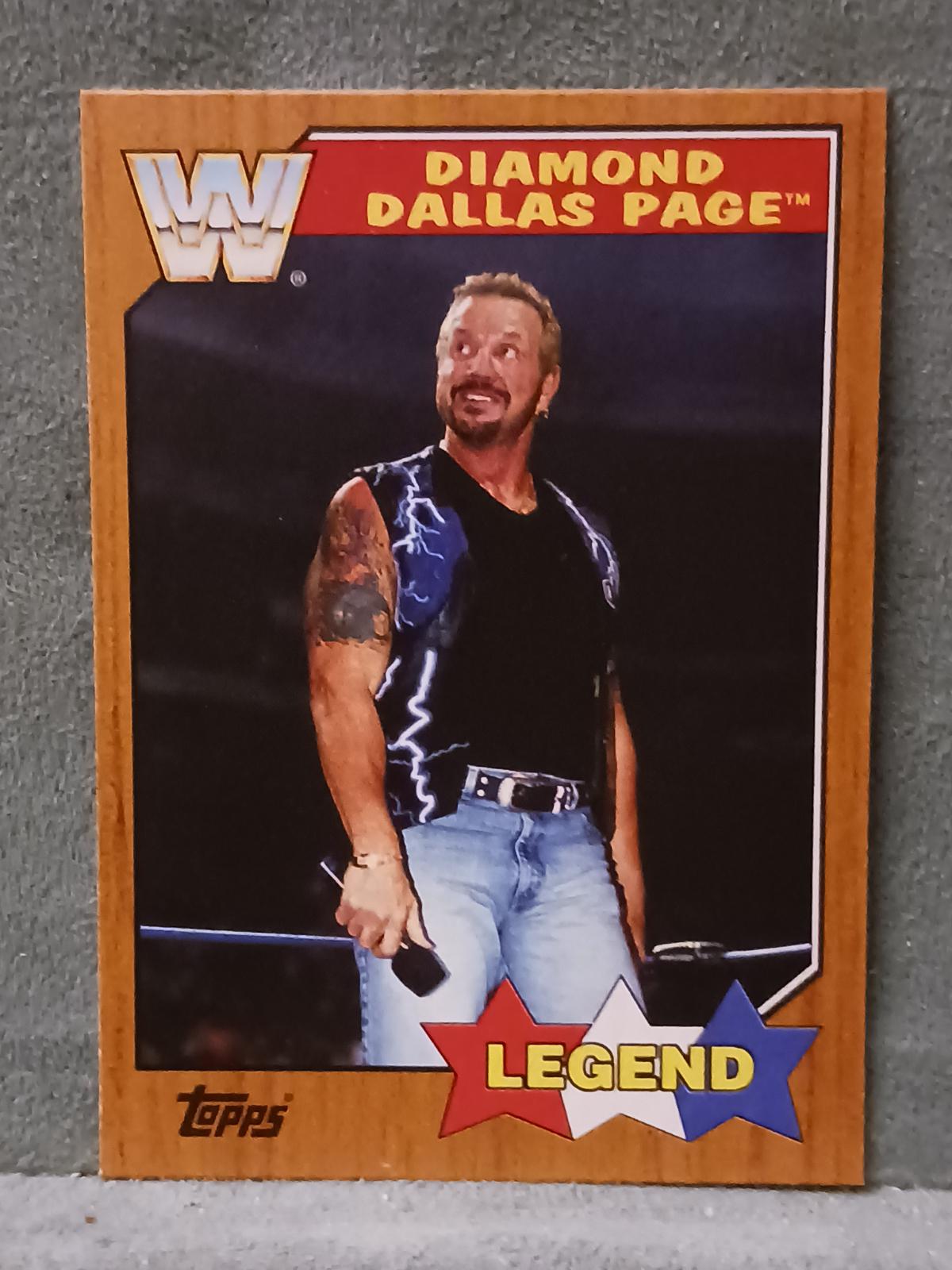 Diamond Dallas Page [Bronze] #74