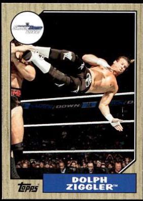 Dolph Ziggler #48