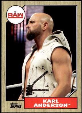 Karl Anderson #24