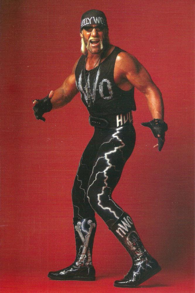 Hollywood Hogan #25