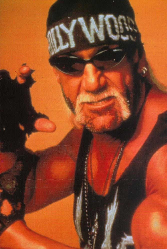 Hollywood Hogan #27
