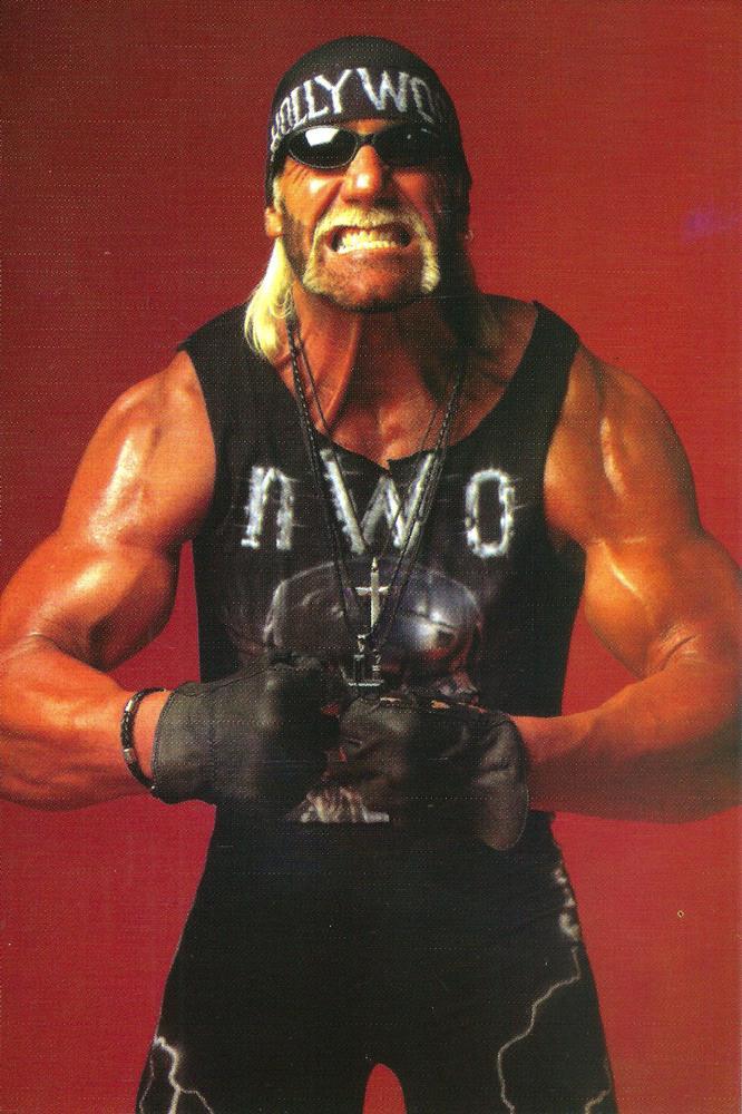 Hollywood Hogan #31