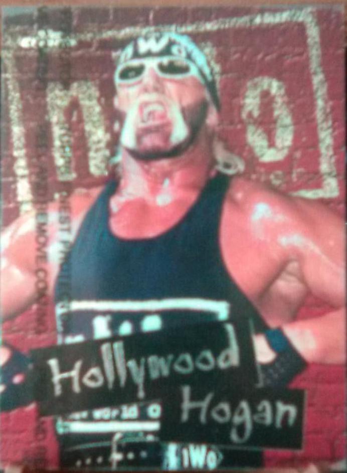 Hollywood Hogan #C5