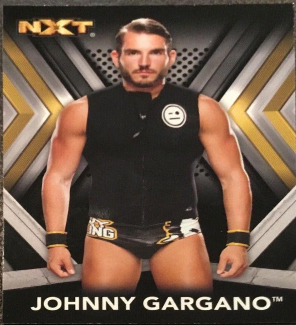 Johnny Gargano #15