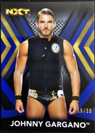 Johnny Gargano [Blue] #15