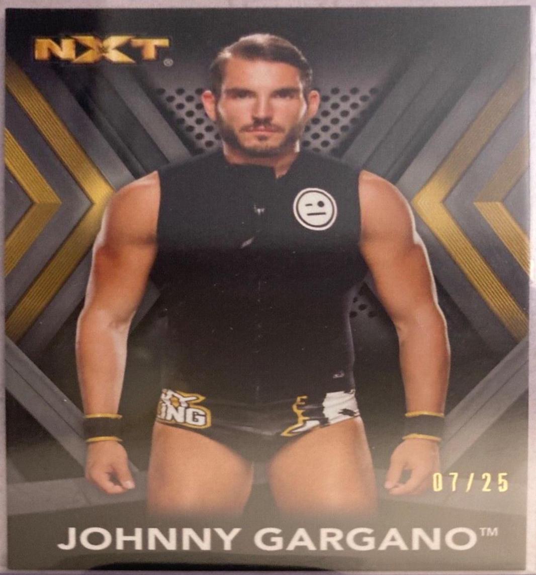 Johnny Gargano [Silver] #15
