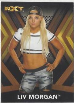 Liv Morgan [Bronze] #16