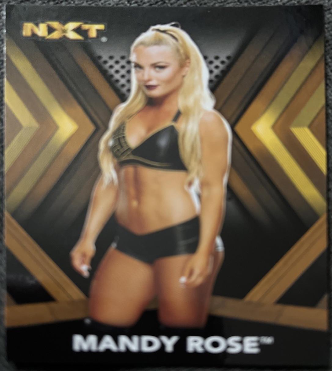 Mandy Rose [Bronze] #17