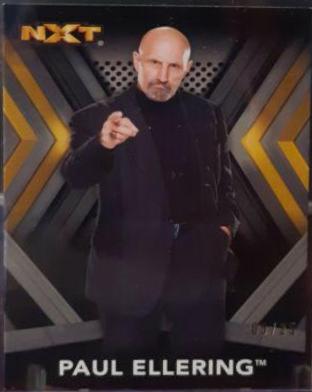 Paul Ellering [Silver] #38