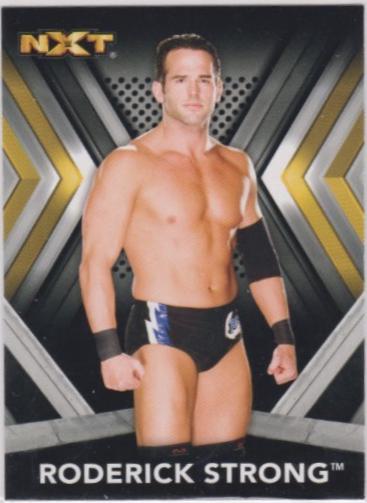 Roderick Strong #26