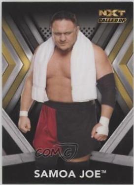 Samoa Joe #47