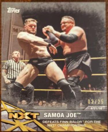 Samoa Joe [Silver] #47
