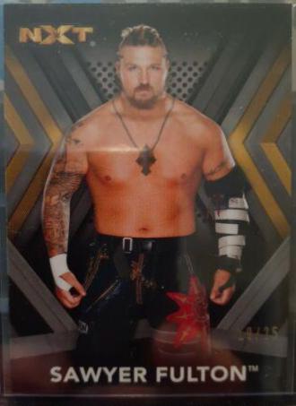 Sawyer Fulton [Silver] #28