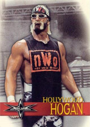 Hollywood Hogan #1