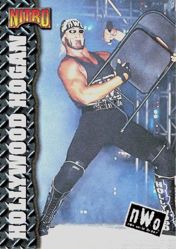 Hollywood Hogan #33