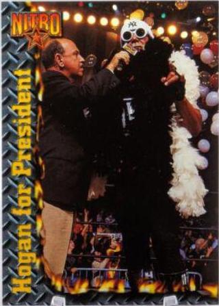 Hollywood Hogan #67