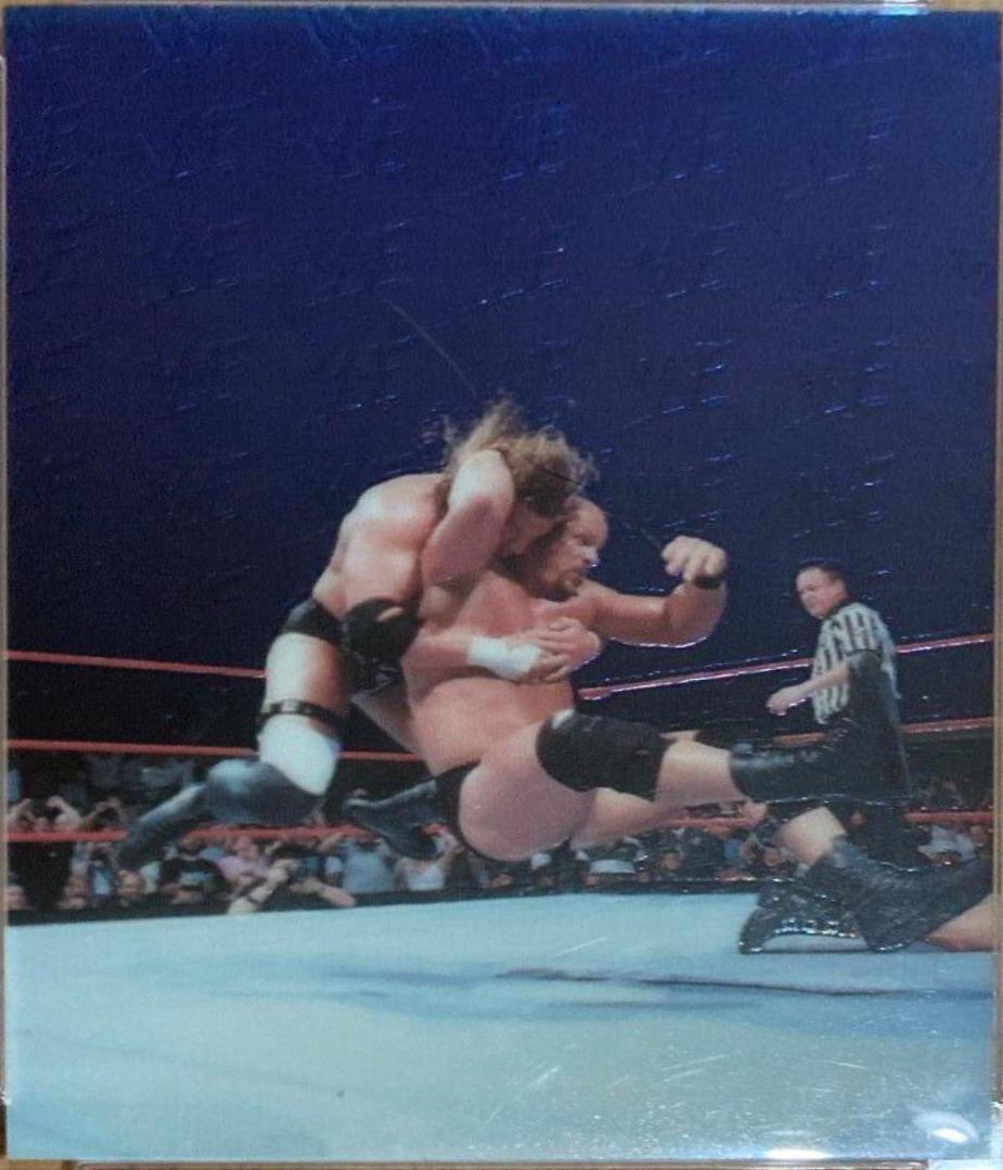 Stone Cold Steve Austin #2
