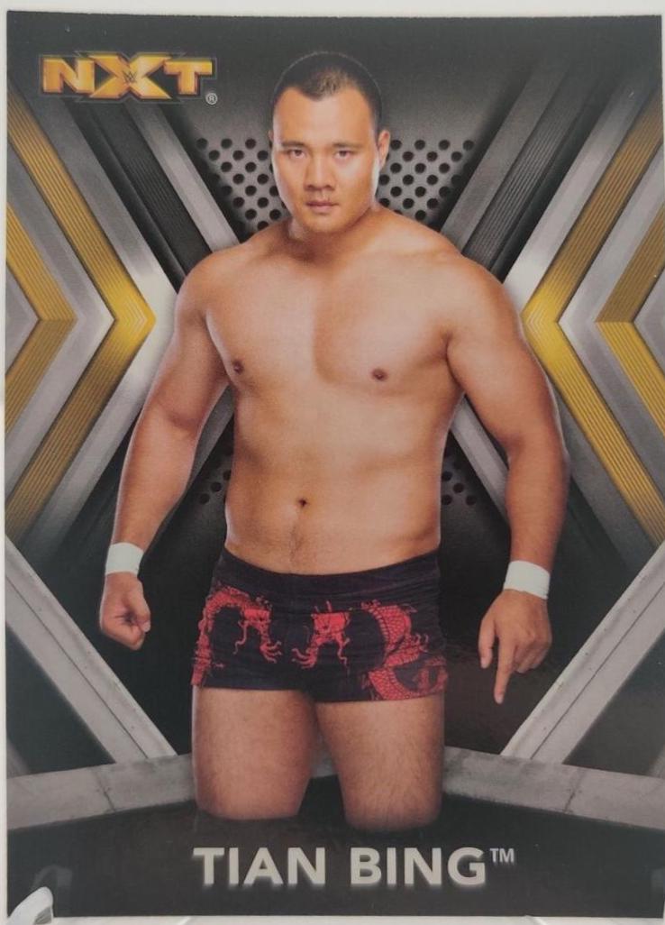 Tian Bing #30