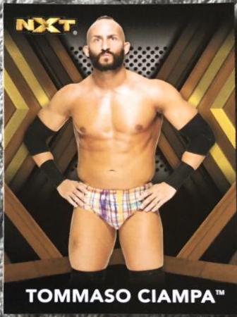 Tommaso Ciampa [Bronze] #32