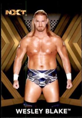 Wesley Blake [Bronze] #34