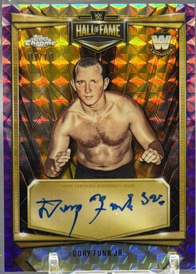Dory Funk Jr. [Purple Geometric] #HOF-DF
