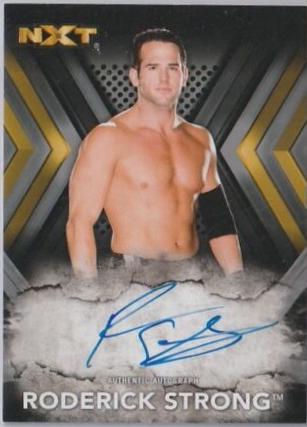 Roderick Strong [Silver] #RA-RS