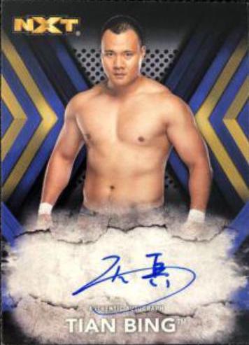 Tian Bing [Blue] #RA-TB
