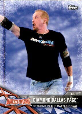 Diamond Dallas Page #62
