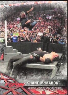 Shane McMahon #46