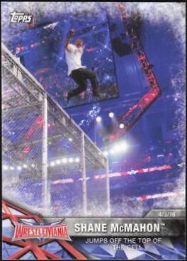 Shane McMahon #60