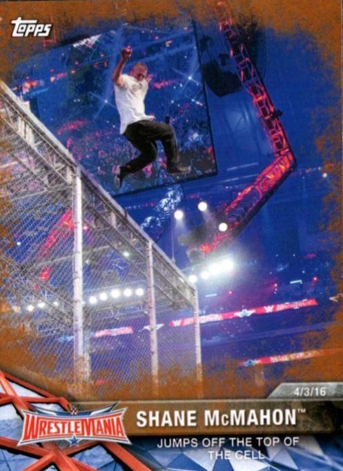 Shane McMahon [Bronze] #60