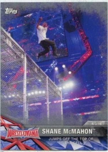 Shane McMahon [Silver] #46