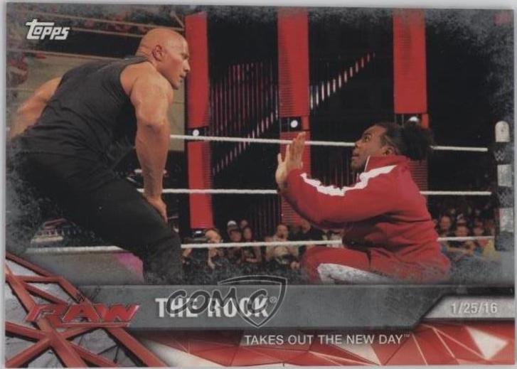 The Rock [Silver] #17