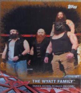 The Wyatt Family [Bronze] #8