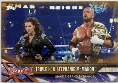 Triple H, Stephanie McMahon [Bronze] #66