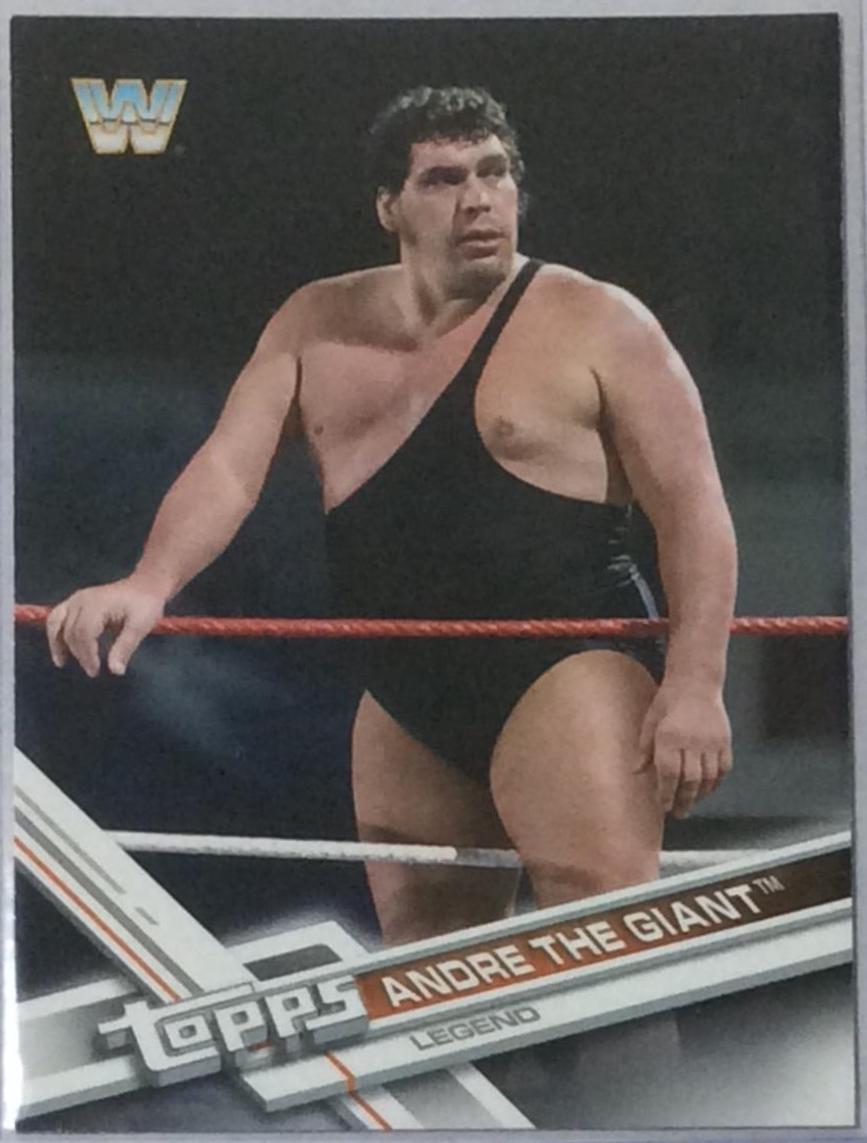 Andre the Giant #182