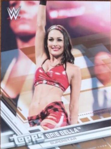 Brie Bella [Bronze] #102