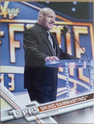 Bruno Sammartino #185