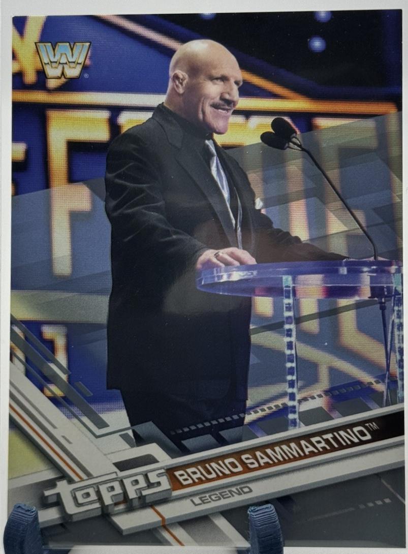 Bruno Sammartino [Silver] #185