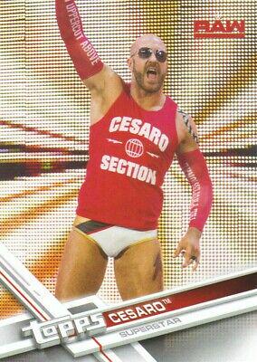 Cesaro #113