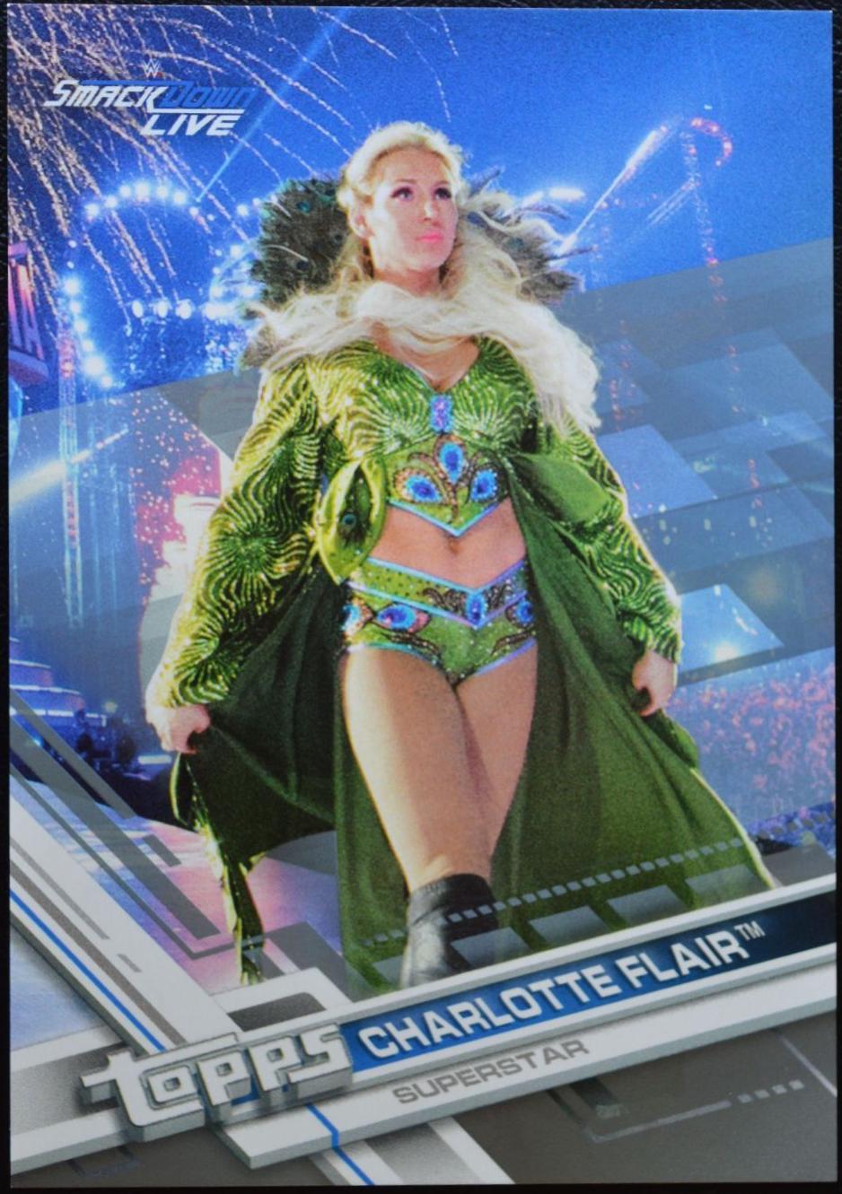Charlotte Flair [Silver] #141