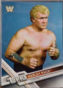 Harley Race #108