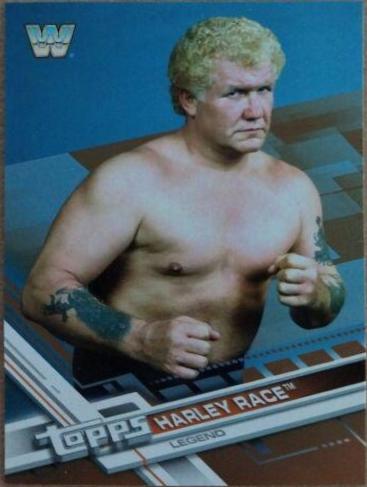 Harley Race [Bronze] #108