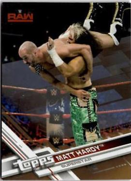 Matt Hardy [Bronze] #128