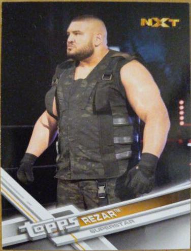 Rezar #177