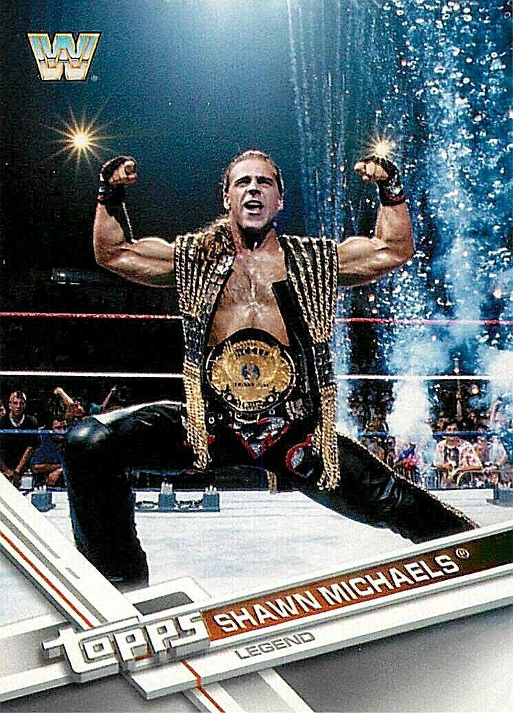 Shawn Michaels #195