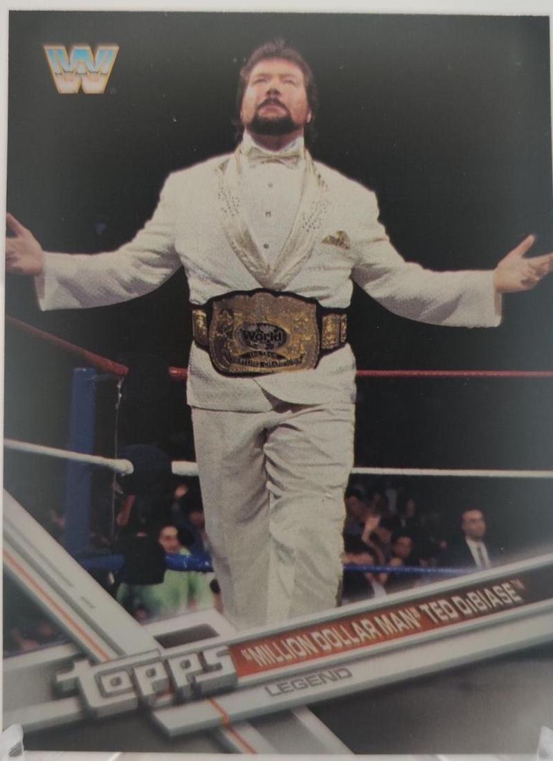 Ted DiBiase #191