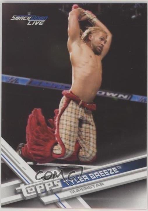 Tyler Breeze #162