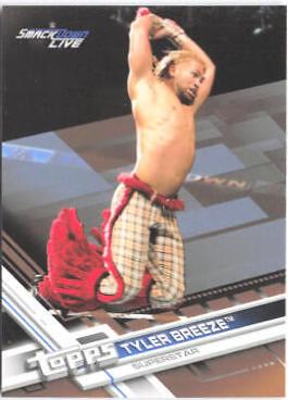 Tyler Breeze [Bronze] #162