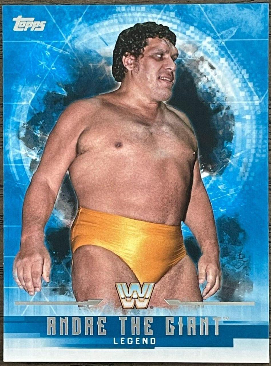 Andre The Giant #61